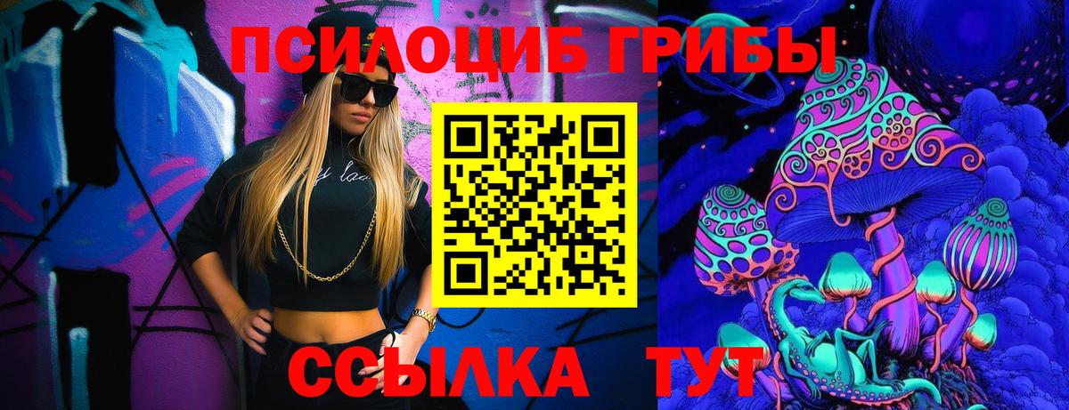 Галлюциногенные грибы мицелий  Псилоцибиновые грибы прущие грибы  Вход с VPN  Кисловодск 